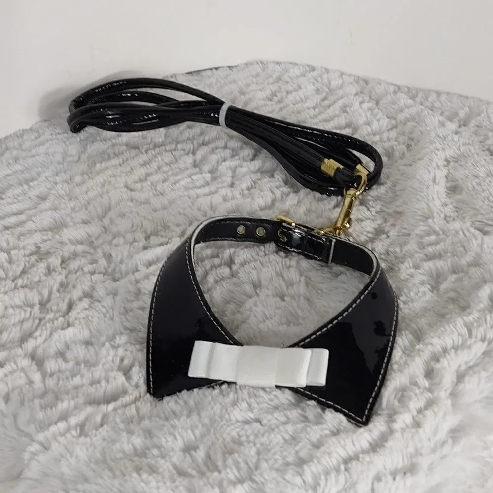 Dog Collar & Leash 12
